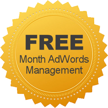 Free AdWords Account Management Offer